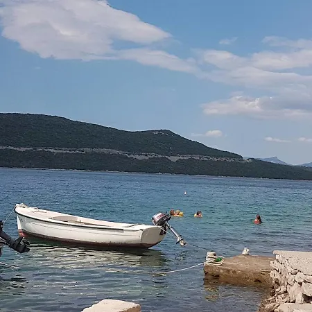 Bajgoric Neum