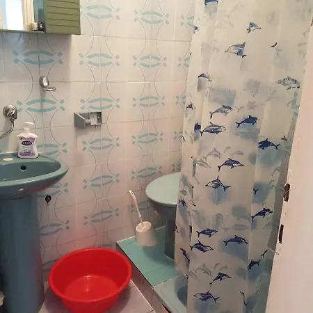 Apartment Bajgoric
